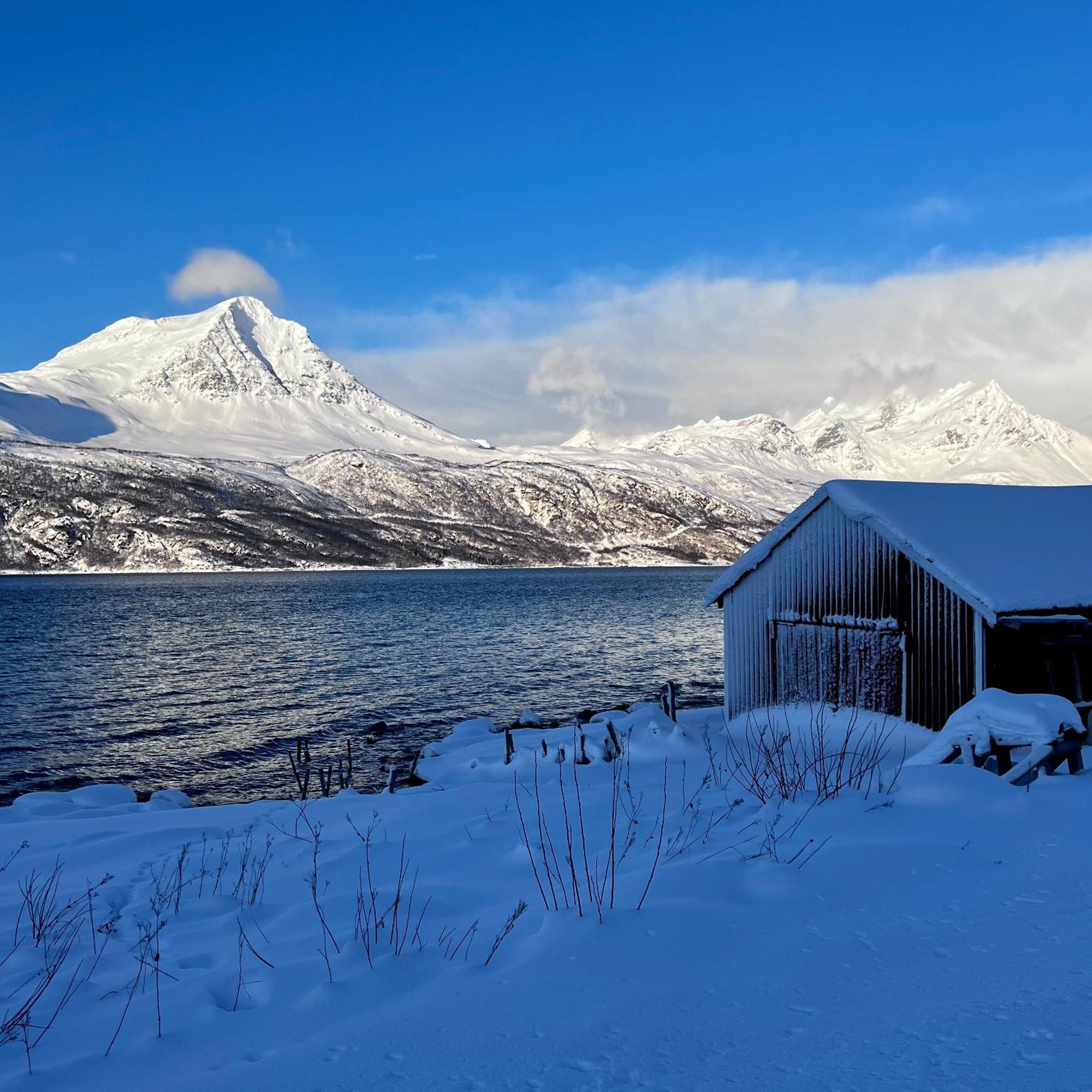 Апартаменты Artic Dream Gratangen Экстерьер фото